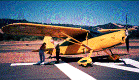 Fairchild 24 airplane on the ground